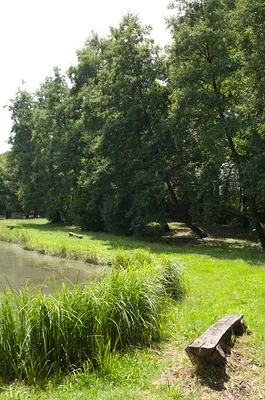 Le Moulin Hubeau — photo 3