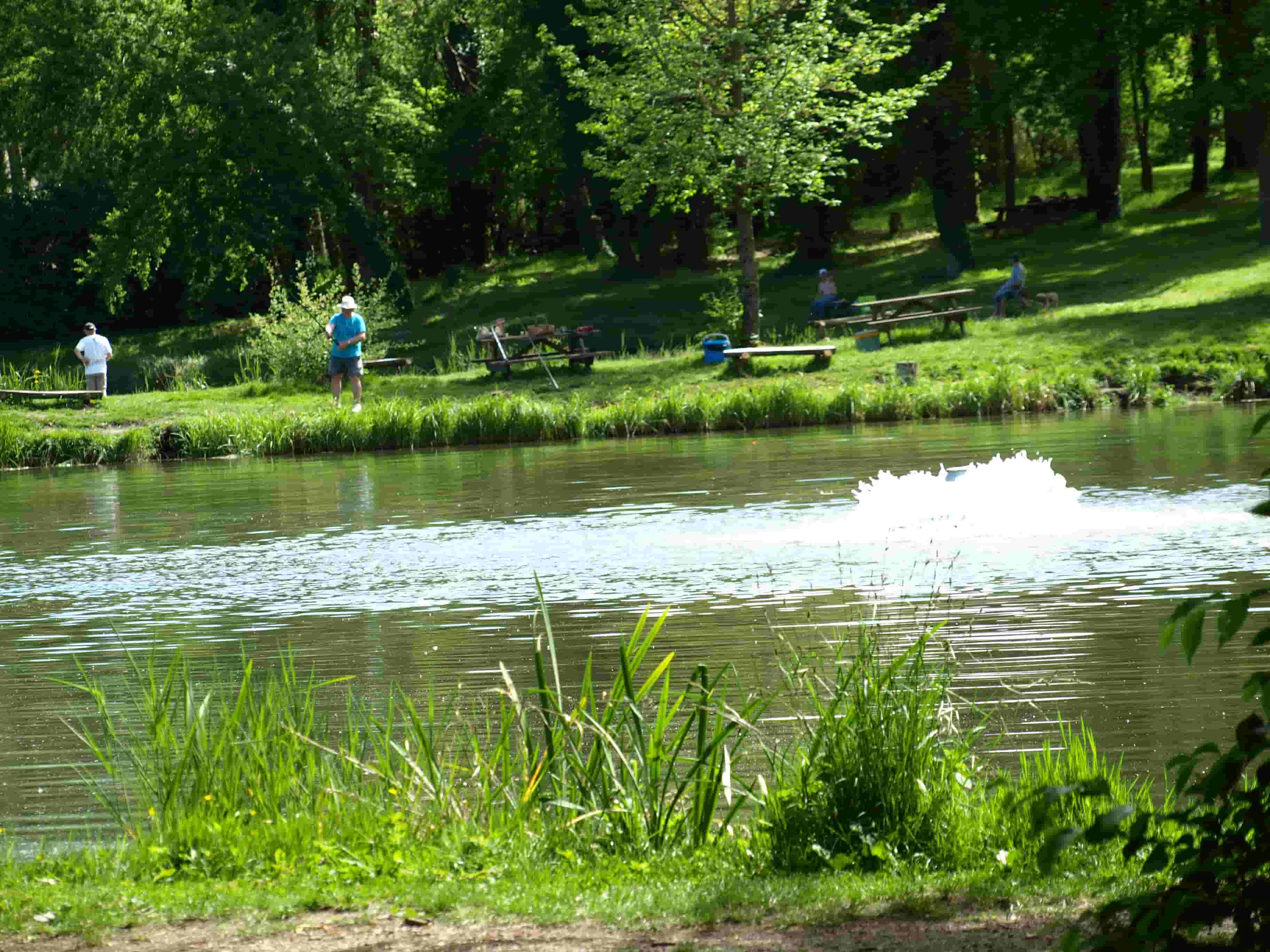 Des pêcheurs autour d'un étang avec des tables de picnic